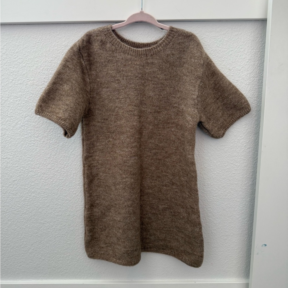 ZARA Cozy Short-Sleeve Knit Dress in Heathered Brown